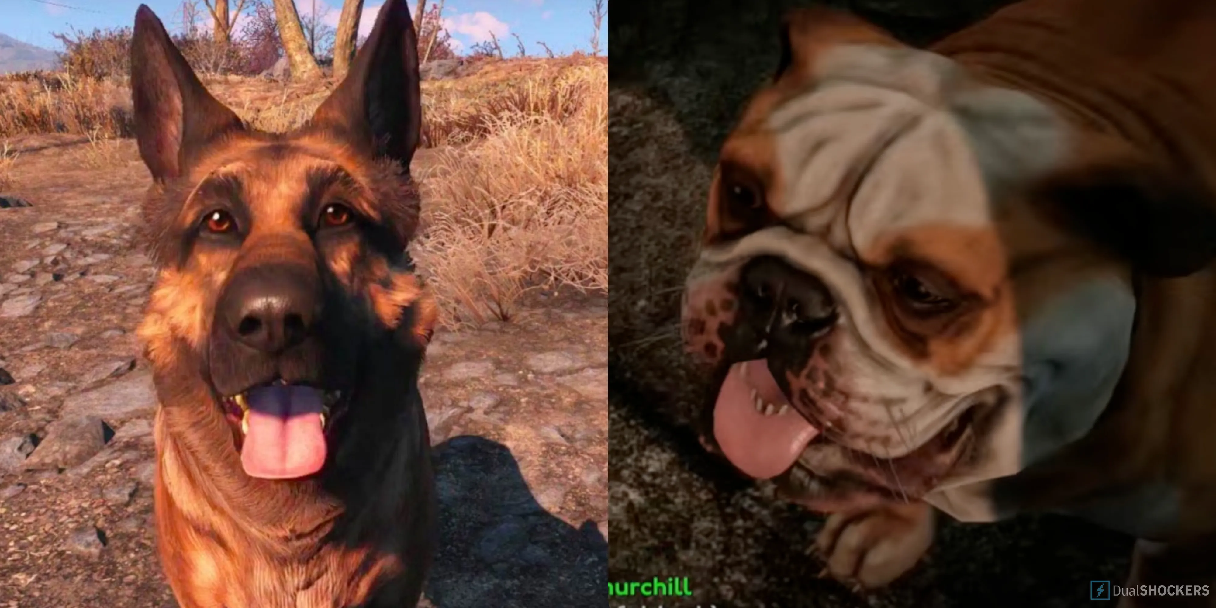 Image default
