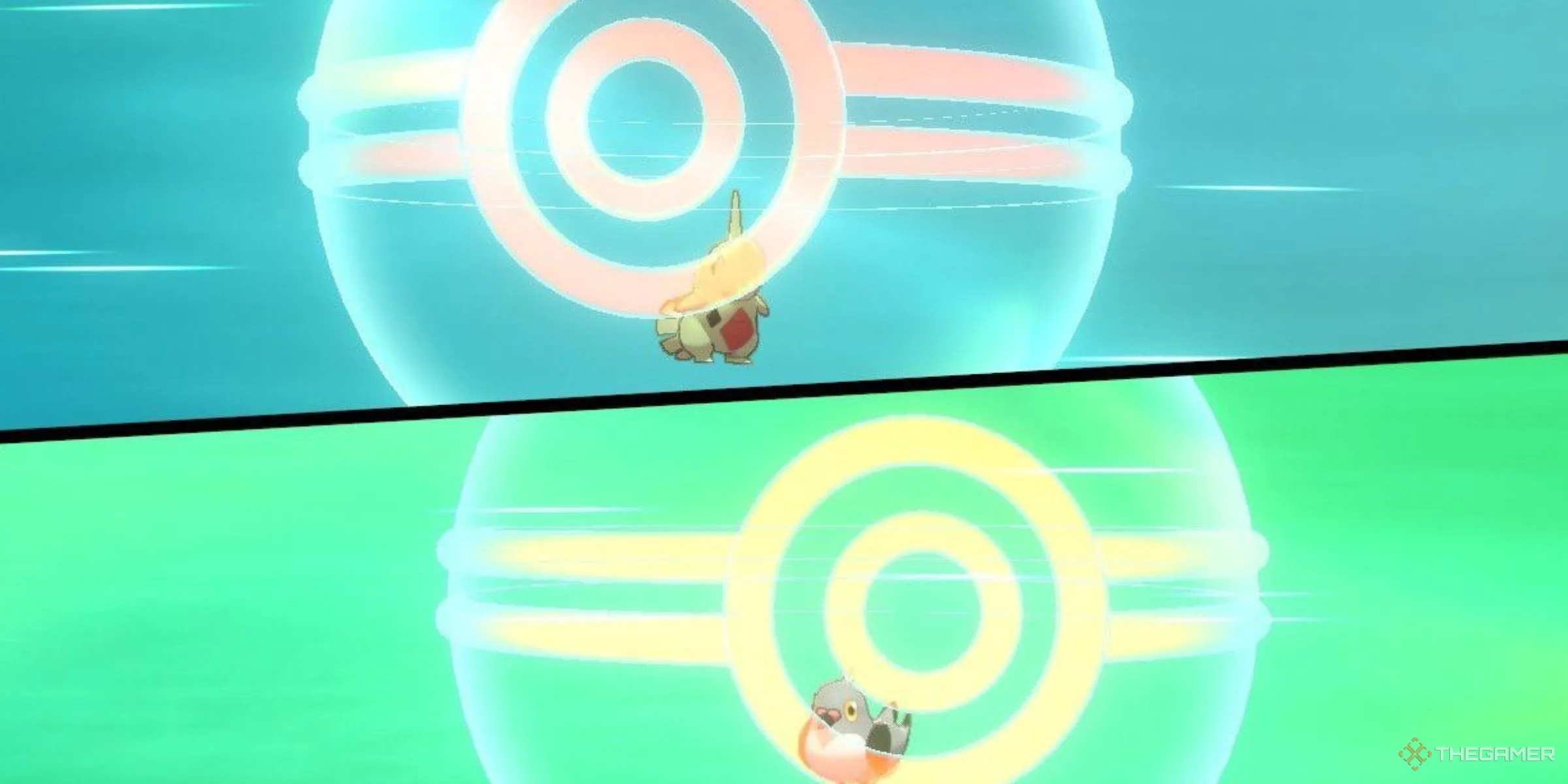 Larvitar được trao đổi Surprise Trade lấy Pidove trong Pokemon Sword và Shield