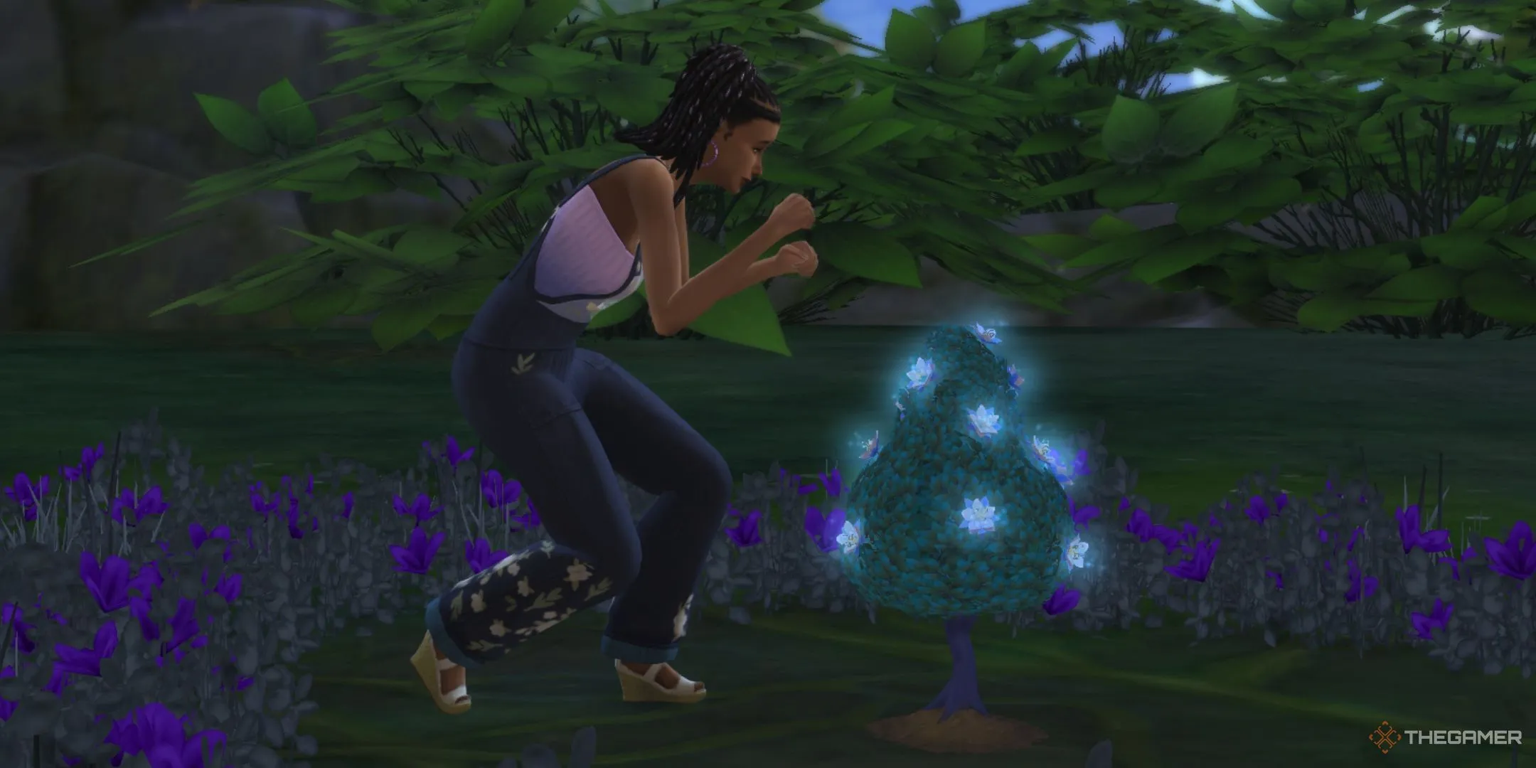 Một Sim đang thu thập cánh hoa aura ở Everdew trong The Sims 4 Enchanted By Nature.