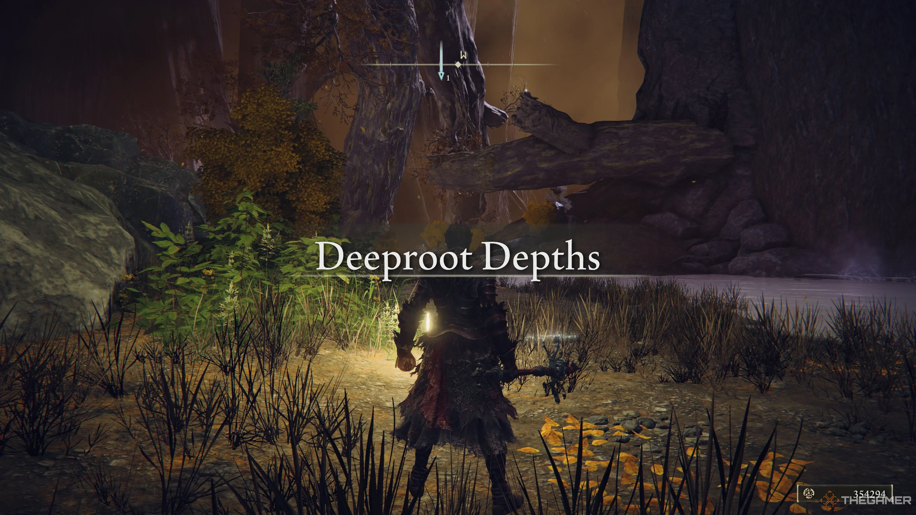 Nhân vật đứng ở Deeproot Depths trong Elden Ring