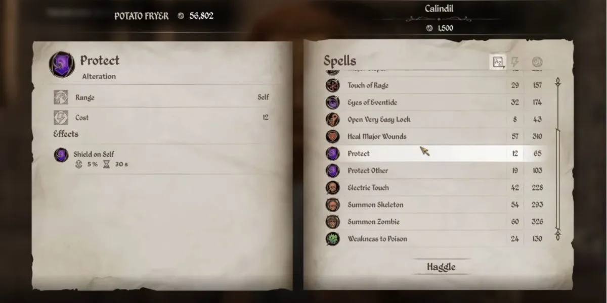 Phép thuật Protect trong The Elder Scrolls IV Oblivion Remastered giúp tăng chỉ số giáp