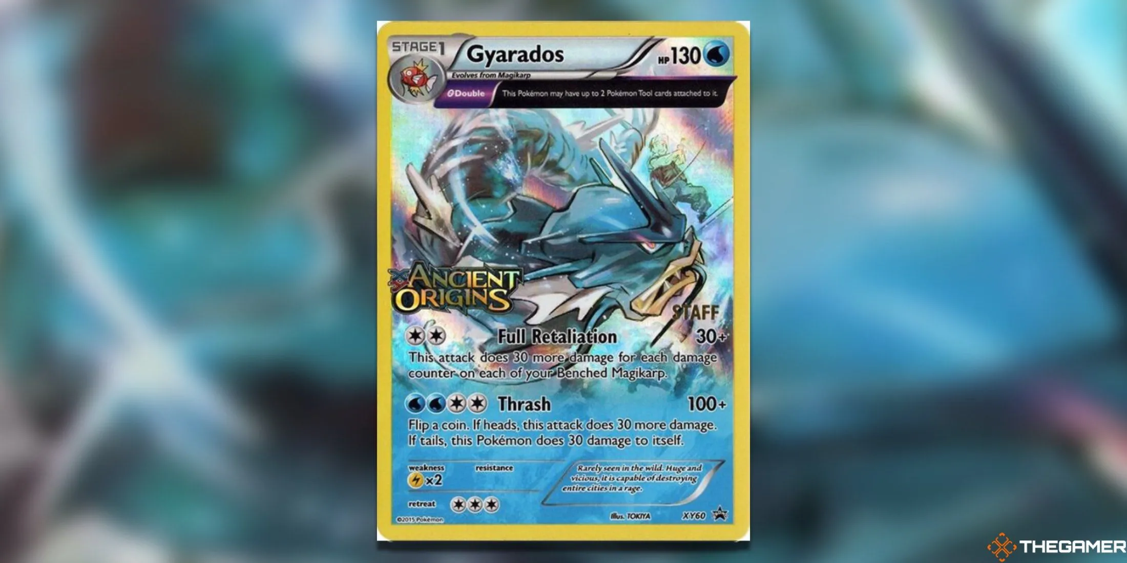 Thẻ bài Gyarados Staff Promo từ set XY Promos với dấu Ancient Origins